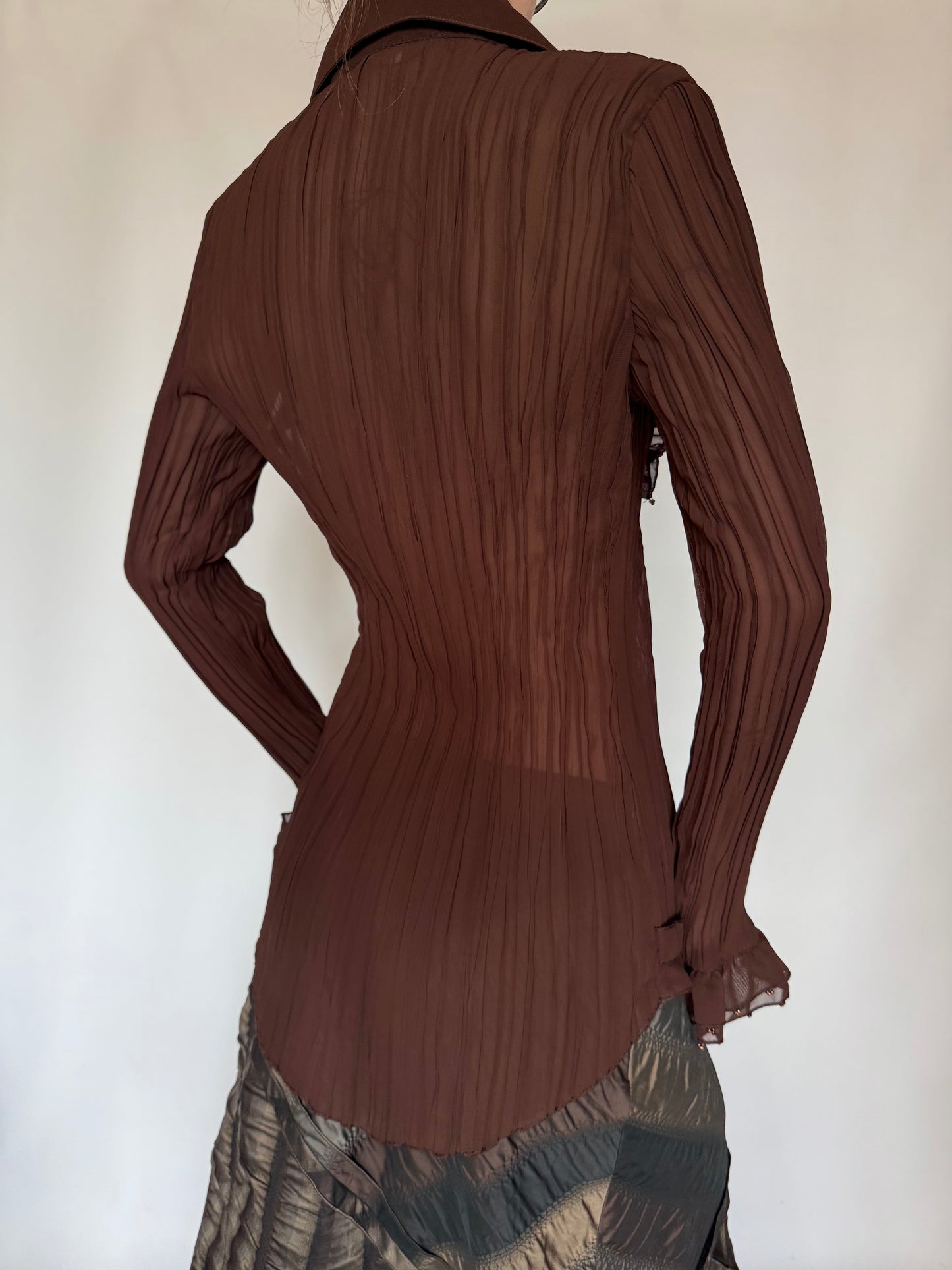 Vintage Ruffled Crinkled Mesh Blouse Twinkling