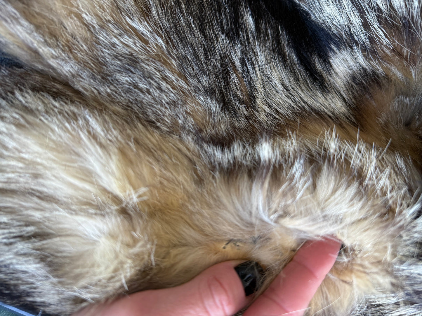 Vintage fur jacket  - TWINKLING GLOBAL