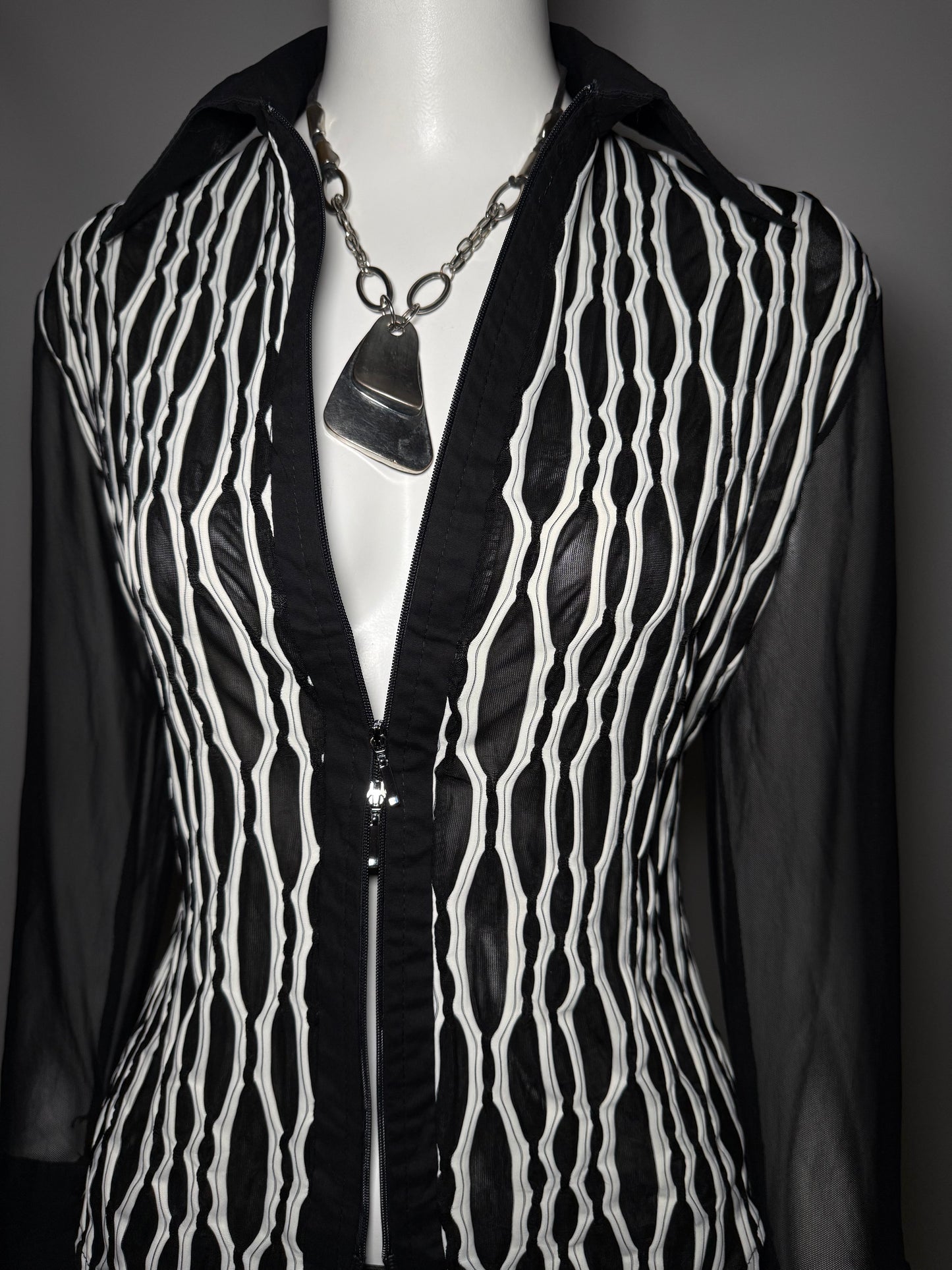 Vintage Fitted Sheer Blouse Twinkling Global